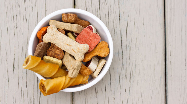 Treats That Make Our Pets Happier, Blog, SenseTest