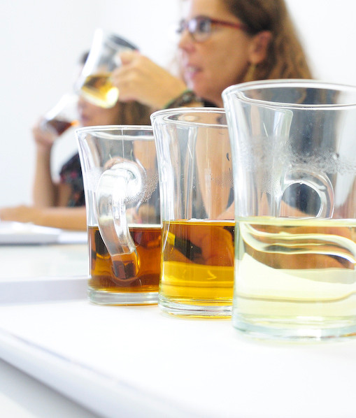 Sense Training, SenseTest