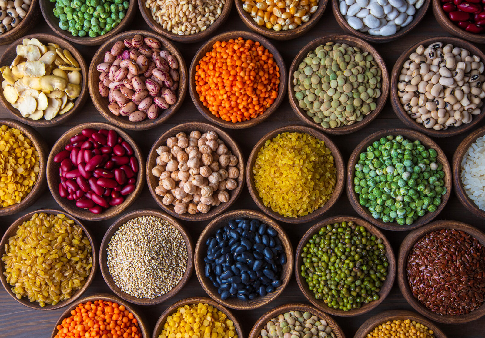 Alternative Proteins as Food Ingredients: are they feasible and tasty?, Blog, SenseTest