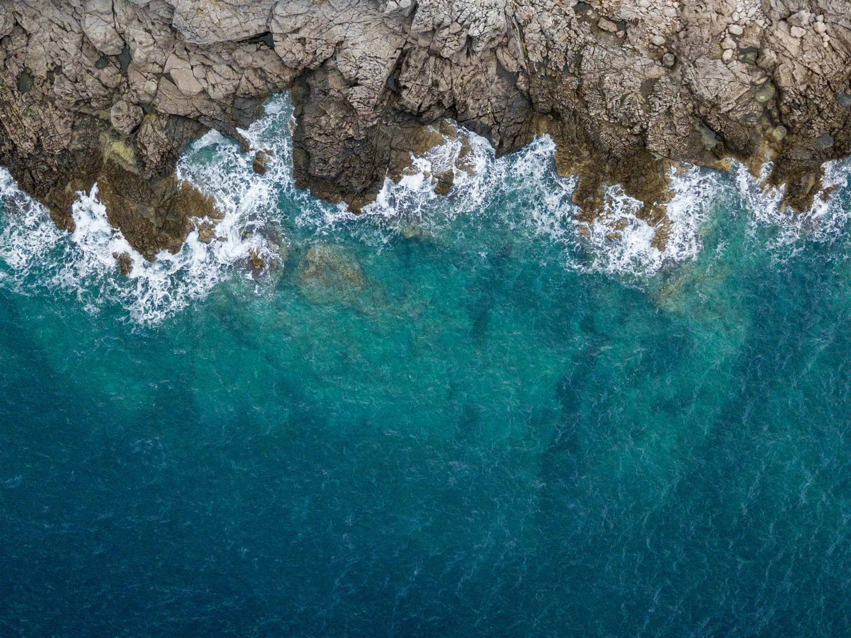 Bioeconomia Azul, Innovation, R&D, SenseTest