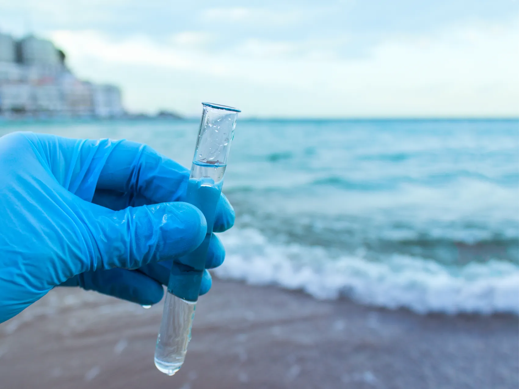 Bioeconomia Azul, Innovation, R&D, SenseTest